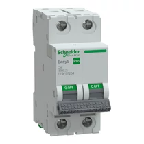 Schneider EASY9 PRO Kismegszakító, 2P 6KA C4A, EZ9F57204