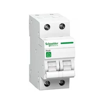 Schneider RESI9 kismegszakító 2P C16A, SCHNEIDER R9F14216
