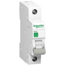 Schneider R9 szakaszolókapcsoló, 1P, 25A, R9S64125