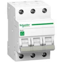 Schneider R9 szakaszolókapcsoló, 3P, 25A, R9S64325