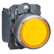 Schneider LED-es világító nyomógomb, narancssárga, 24V, XB5AW35B5
