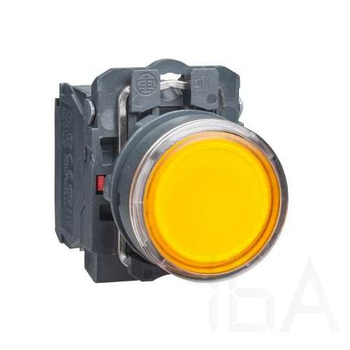 Schneider LED-es világító nyomógomb, narancssárga, 110V, XB5AW35G5